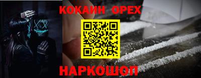 дмт Гай