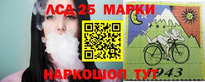 a pvp Гатчина
